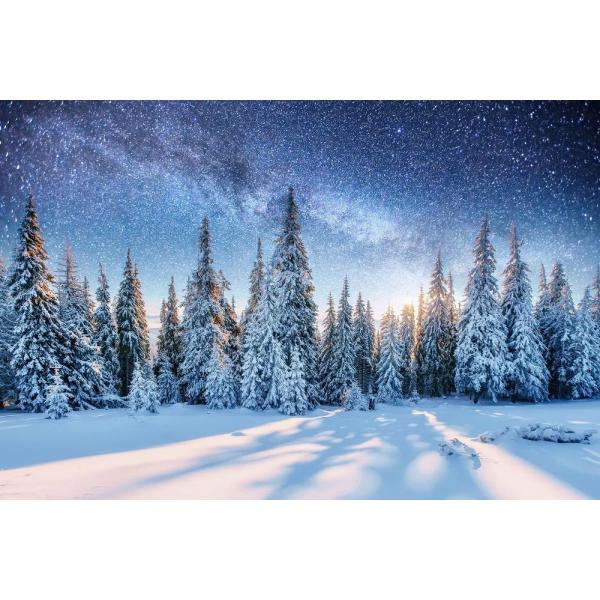 冬の森の風景、冬の松の木 マジカルスノーサンセット キャンバスウォールアート リビングルーム装飾 美...