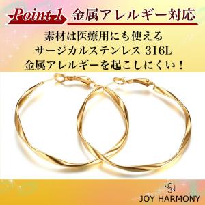 ピアス レディース フープピアス 爆買 大きめ...の詳細画像1