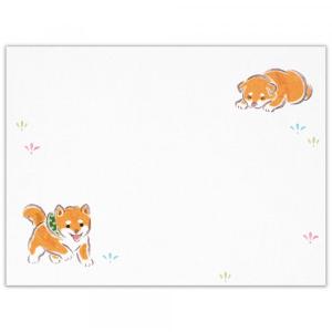 柴犬 こふみ封筒 ゆるらか 犬 ミニ便箋 エヌ...の詳細画像1
