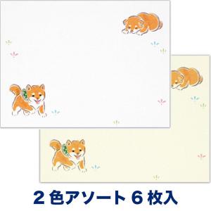 柴犬 こふみ封筒 ゆるらか 犬 ミニ便箋 エヌ...の詳細画像5