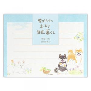 柴犬 ミニレター　わんころび　自然暮らし レターセット 横書き 和紙 エヌビー社 犬雑貨