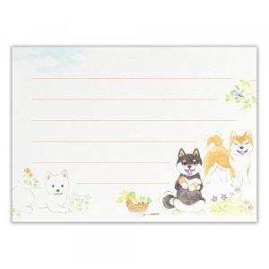 柴犬 ミニレター わんころび 自然暮らし レタ...の詳細画像1