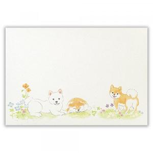 柴犬 封筒 わんころび 柴犬 横書き 郵便番号...の詳細画像3