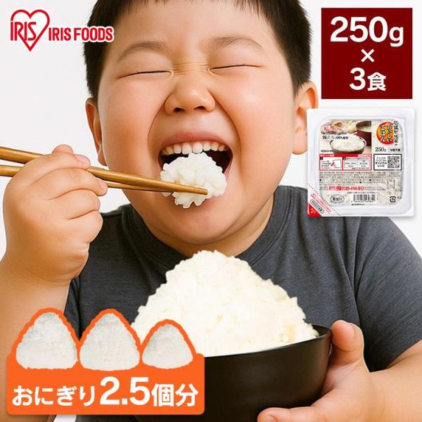 パックご飯 大盛 レトルトご飯 大盛り 250g 3食 ご飯パック パックごはん 低温製法米 備蓄 ...