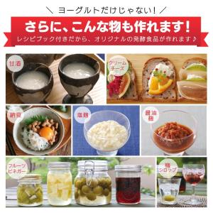 ヨーグルトメーカー アイリスオーヤマ ヨーグル...の詳細画像4