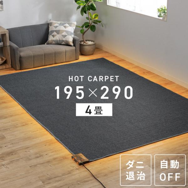ホットカーペット 4畳 本体 195×290 電気カーペット ホットマット 電気マット 温度調節 簡...