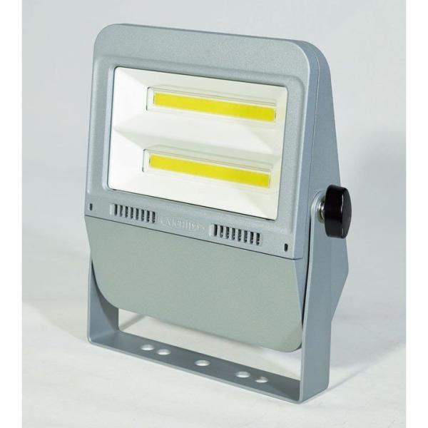 フラットライト50W 昼白色 LED作業灯 屋外 LEN-F50D-SL-50K 日動工業