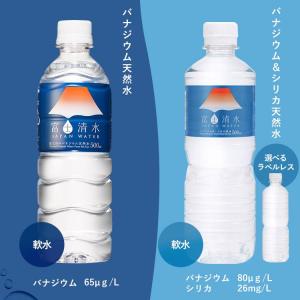 シリカ 水 500ml 48本 天然水 ペット...の詳細画像2