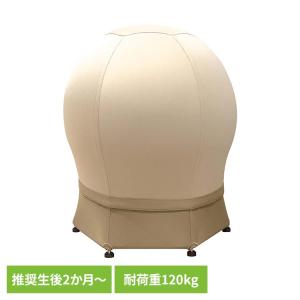 ねんねチェア2 バランスボール 出産祝い 育児便...の商品画像