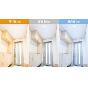 シーリングライト 小型 薄型 おしゃれ セット...の詳細画像1