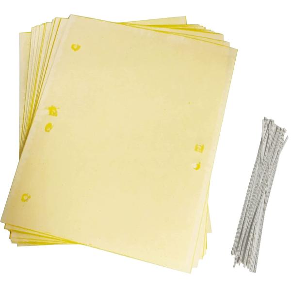 強力粘着捕虫シート 20枚セット 20cm×25cm 両面粘着 黄色 害虫対策 粘着トラップ 虫取り...