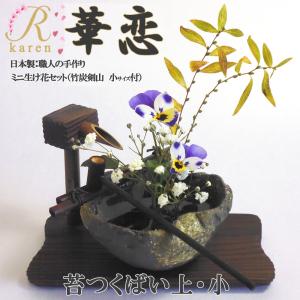 お盆値下げ❣️生命科学研究所いのちの幹2セット お盆値下げ❣️生命科学研究所いのちの幹2セット 生命科学研究所いのち