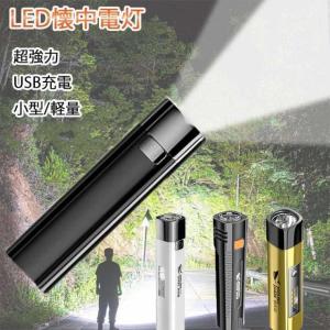 チェコ軍 ハンドライト シルバー L デッドストック EE696NN 懐中電灯