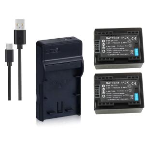 DC83e OLYMPUS LI-42B 対応 USB充電器 FE-3010 FE-360 FE-350 Wide FE