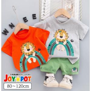 キッズ ベビー服 セットアップ Tシャツ 半袖 ライオン