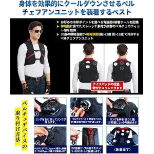 2025夏新登場！ペルチェ冷却ベスト。薄型・静音・フリーサイズ
