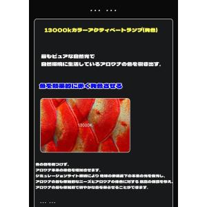 MAYIN マイン馬印 112cm 13000...の詳細画像2