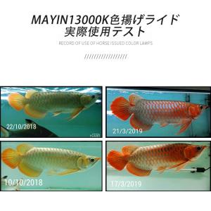 MAYIN マイン馬印 112cm 13000...の詳細画像4