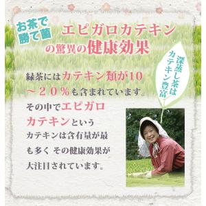 新茶 お茶旅 高級 掛川茶が凄くお得な3種の深...の詳細画像5