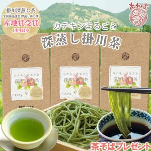 茶和家 2023年産地賞受賞 カテキンまるごと飲める 深蒸し掛川茶 300g 1,000円 送料無料 お茶 緑茶 プチギフト