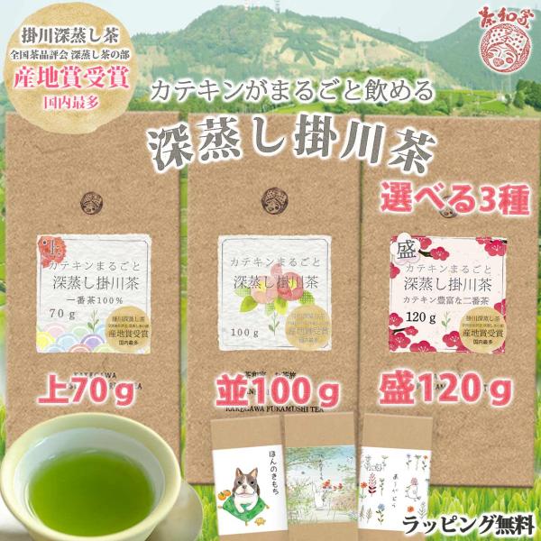 茶和家 2023年産地賞受賞 カテキンまるごと飲める 深蒸し掛川茶 300g 1,000円 送料無料...