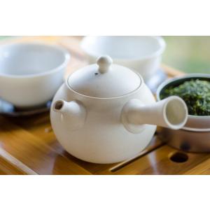 煎茶道具 急須 後手急須 グリン玉 黄交趾 唐草 高野昭阿弥作 交趾 交趾