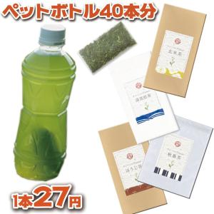 ティーバッグ お茶 ペットボトル (27円/本) マグボトル用 茶和家 緑茶 深蒸し茶  3種40本分 ティーパック 送料無料