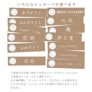 お茶 緑茶 ティーバッグ ギフト お茶旅 八十...の詳細画像4