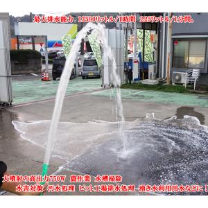 商品紹介動画付 水中ポンプ 小型 電動ポンプ ...の詳細画像3