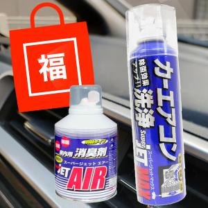 PITWORK ピットワーク エバポレーター 洗浄・抗菌剤 12ヶ月 180ml 1台