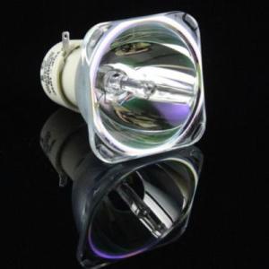 リコー RICOH PJ WX4240N 交換用純正バルブ（球のみ） 308991 OB リコー プ...