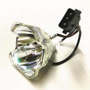 アミー漁 業務用交換バルブ （汎用バルブ採用） 60日保証付