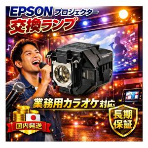ET-LAV300 CBH 翌日配送 在庫限り...の詳細画像2
