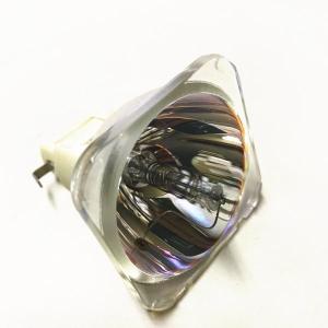 ホーンテッドミュージアム 業務用 純正バルブ（球のみ）