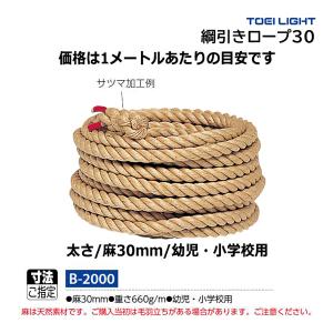 TOEI LIGHT（トーエイライト） 6人制バレーボールネット上部コーナー