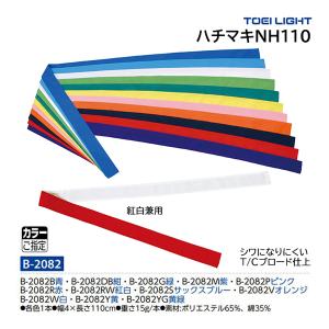 超美品 TOEI LIGHT ステップハードル 10本トーエイライト TOEI LIGHT（トーエイライト） ステップハードル10 G-2019 ＜2026CON