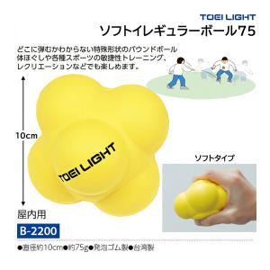TOEI LIGHT（トーエイライト） ビーチバレーレジャータイプ B-3034