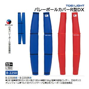 TOEI LIGHT（トーエイライト） ソフトテニスネット 普及タイプ B-2172