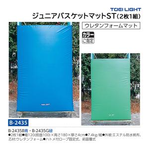 トーエイライト ジュニアバスケットマットST(2枚1組) (メーカー直送) B-2435 ＜2025NP＞