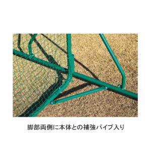 トーエイライト 防球フェンス2.5×5DXC ...の詳細画像1