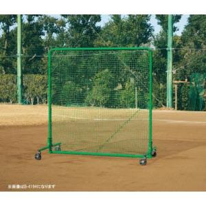 トーエイライト 防球フェンスW2×2SG B-4196（メーカー直送） ＜2026NEW＞