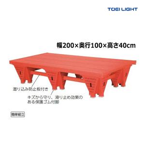 トーエイライト プールフロアN2-TL (メーカー直送) B-6217 ＜2025NP＞