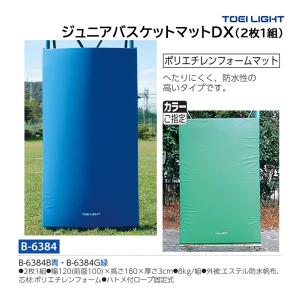 トーエイライト ジュニアバスケットマットDX(2枚1組) (メーカー直送) B-6384 ＜2025NP＞
