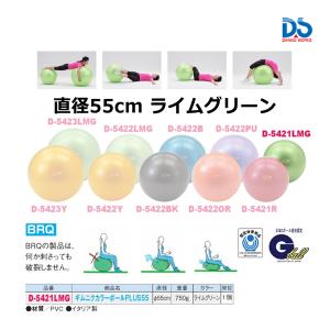 ダンノ 折りたたみ式ハードルDX(中学生・練習用) 受注生産 D-1201