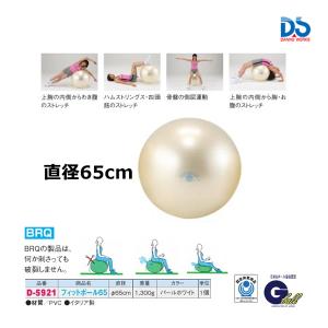 ダンノ フットボール65 (C-6) D-5921 ＜2024NP＞｜jpn-sports