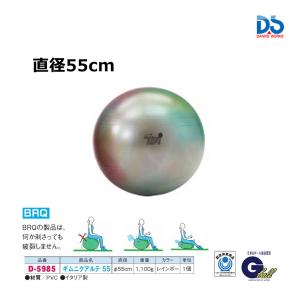 ダンノ 折りたたみ式ハードルDX(中学生・練習用) 受注生産 D-1201