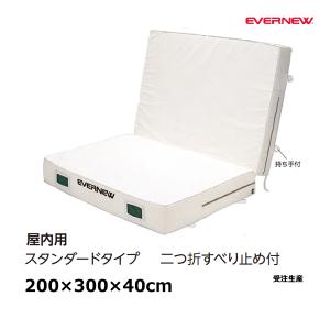 TOEI LIGHT（トーエイライト） ターゲットリング (メーカー直送) B