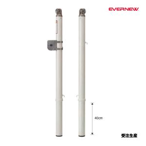 エバニュー テニス支柱5屋外 ヘッド部可動式 埋筒別売 2本1組 受注生産品 (メーカー直送) EKD725 ＜2026NP＞