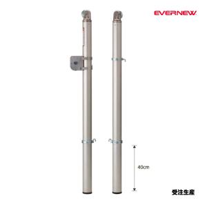 エバニュー テニス支柱ステンレスT3 ヘッド部可動式 埋筒別売 2本1組 受注生産品 (メーカー直送) EKD727 ＜2026NP＞