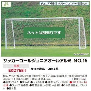 在庫あり 即納 Evernew エバニュー 体育用品 サッカー フットサル ネット ゴール リング Jrサッカーゴールネットj106 ホワイト Eke369 白 シロ 21 Sk お洒落無限大 Masterkamen Kiev Ua